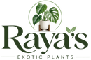 Rayas Exotic Plants