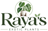 Rayas Exotic Plants